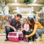 Top 10 Best Places to Buy Puppies in the United States